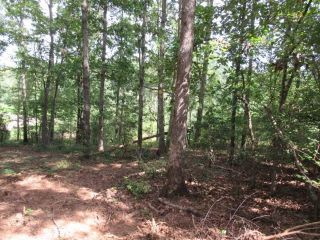 Foreclosed Home - 101 WINDING RD LOT 2, 30108