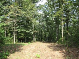 Foreclosed Home - 101 WINDING RD LOT 3, 30108