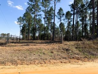 Foreclosed Home - 1031 FLUCKER MADDOX RD LOT 4, 30454