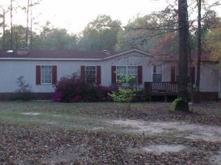 Foreclosed Home - 513 BUSTER MILLER RD, 30461
