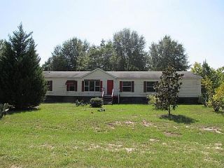 Foreclosed Home - 125 BLUE BREAM SPUR, 30467