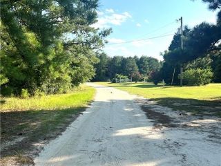 Foreclosed Home - 117 MILL RD, 30467