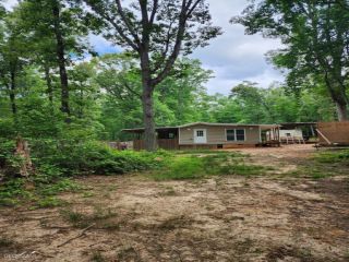 Foreclosed Home - 196 HESTER RD, 30533