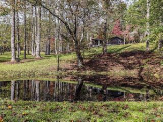 Foreclosed Home - 198 PINE KNOT LN, 30559