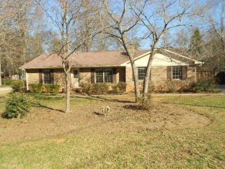 Foreclosed Home - 185 KNOB LICK DR, 30605