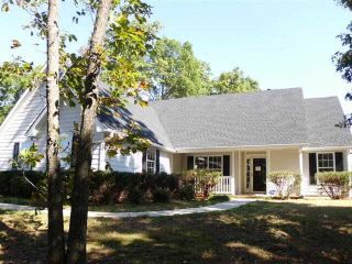 Foreclosed Home - 413 ARROWHATCHEE DR, 30680