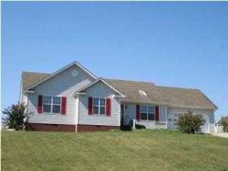 Foreclosed Home - 89 SPRING MEADOWS DR, 30736