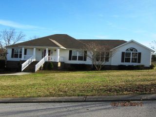 Foreclosed Home - 143 FALCONS VIEW DR, 30736