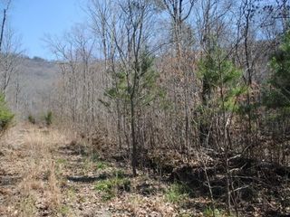 Foreclosed Home - 511 NEWSOME GAP RD, 30738