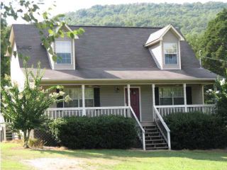 Foreclosed Home - 215 RAMEY HEDGES ACCESS, 30752