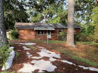 Foreclosed Home - 141 YOUNGBLOOD RD SE, 31061