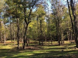 Foreclosed Home - 298 PEBBLE HILL RD SE LOT C, 31061