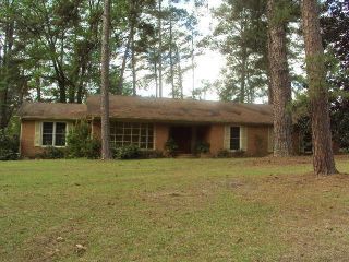 Foreclosed Home - 2908 KING ALFRED DR, 31204