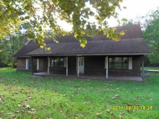 Foreclosed Home - RR 1 BOX 132, 31316