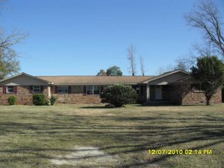 Foreclosed Home - 5064 COUNTY FARM RD, 31516