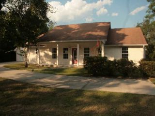 Foreclosed Home - 890 BUCK SWAMP RD, 31523