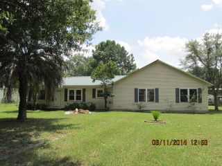 Foreclosed Home - 195 Fern Dr, 31537