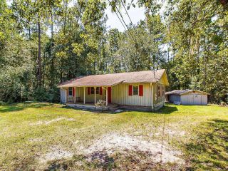 Foreclosed Home - 200 BOAT RAMP RD, 31546