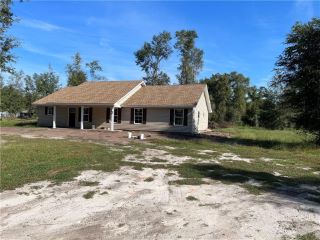 Foreclosed Home - 295 HAM RD, 31553