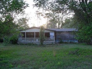 Foreclosed Home - 281 BILLY CONNELL RD, 31620