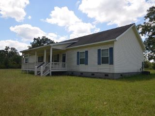 Foreclosed Home - 275 PEACOCK RD, 31643
