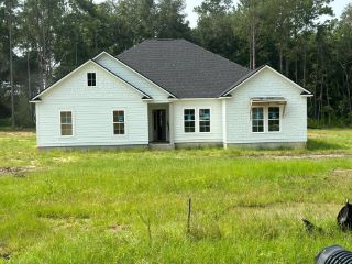 Foreclosed Home - 252 PASCO RD, 31757