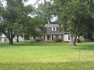 Foreclosed Home - 170 LEE LEWIS RD, 31768