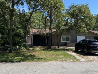 Foreclosed Home - 49 CYPRESS POND RD, 32128