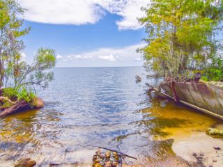 Foreclosed Home - List 101309422