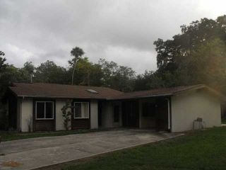 Foreclosed Home - 2826 MANGO TREE DR, 32141