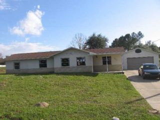 Foreclosed Home - 3844 GRIFFINVIEW DR, 32159