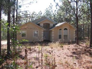 Foreclosed Home - 1434 DARCY RD, 32159