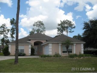 Foreclosed Home - 11 MEADOW RIDGE VW, 32174