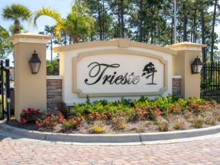 Foreclosed Home - 305 TRIESTE BLVD, 32407