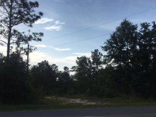 Foreclosed Home - 287 HIGH LONESOME RD, 32435
