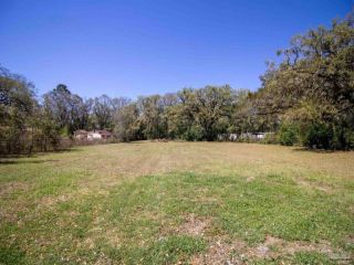 Foreclosed Home - 7021 N PALAFOX ST, 32503