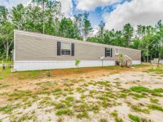 Foreclosed Home - 12246 JOHNNY PARKER RD, 32564