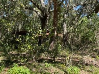 Foreclosed Home - 7043 GATORBONE RD, 32656
