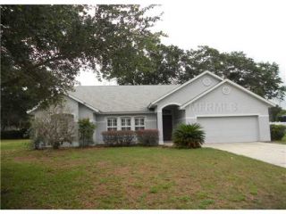 Foreclosed Home - 19043 PARK PLACE BLVD, 32736