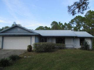 Foreclosed Home - 10260 DRAGONFLY RUN, 32754