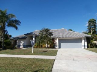 Foreclosed Home - 10718 Cypress Bend Dr, 33498