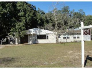 Foreclosed Home - 1406 ROWELL ST, 33510