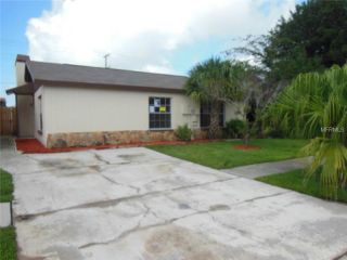 Foreclosed Home - 1207 Coolridge Dr, 33511