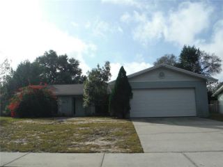 Foreclosed Home - 411 Park Manor Dr, 33511