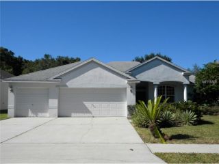 Foreclosed Home - 2701 Durant Trails Blvd, 33527