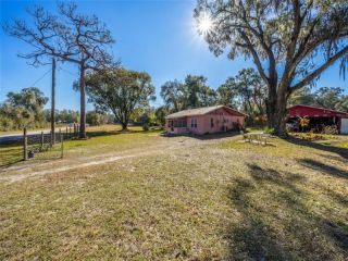 Foreclosed Home - 41846 MERRICK RD, 33540