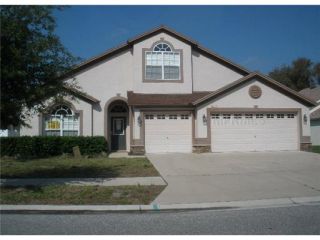 Foreclosed Home - 35117 DEERFIELD OAKS DR, 33541