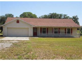 Foreclosed Home - 37436 PHELPS RD, 33541