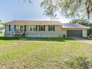 Foreclosed Home - 37448 PHELPS RD, 33541