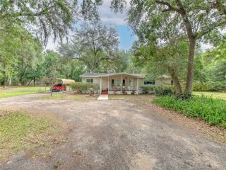 Foreclosed Home - 3322 DRUM RD, 33541
